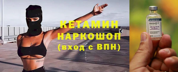 прущие грибы Верея