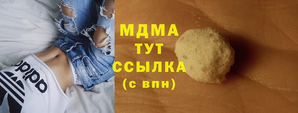 прущие грибы Верея