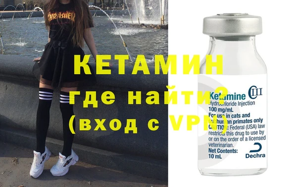 прущие грибы Верея