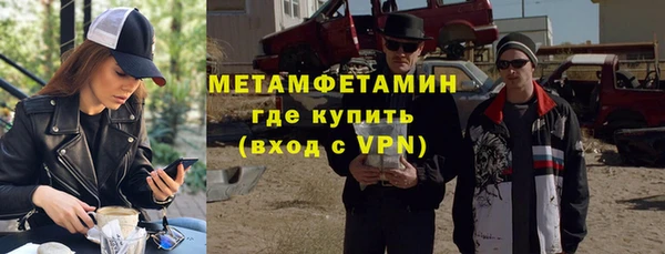 прущие грибы Верея