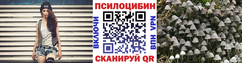 Псилоцибиновые грибы Magic Shrooms  Выкса 